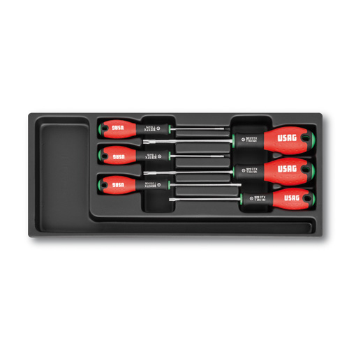 Modulo in termoformato assortito (6 pz) 519/322STX   ASSORTIMENTO