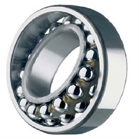 Cuscinetto Skf 1205Ektn9 **09